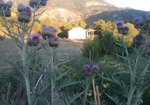 Property grounds - The Bee Yurt, Drôme Provençale (La Roche-sur-le-Buis)