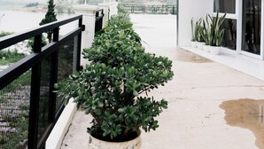 A modern building with a balcony, potted plants, and a view of a body of water. - Lotus Nexura Escape (Kejajar)