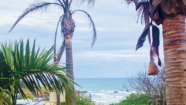A coastal view with palm trees, a beach, and a pathway leading to a building. - Crayfish Inn no'1 (Ramsgate)