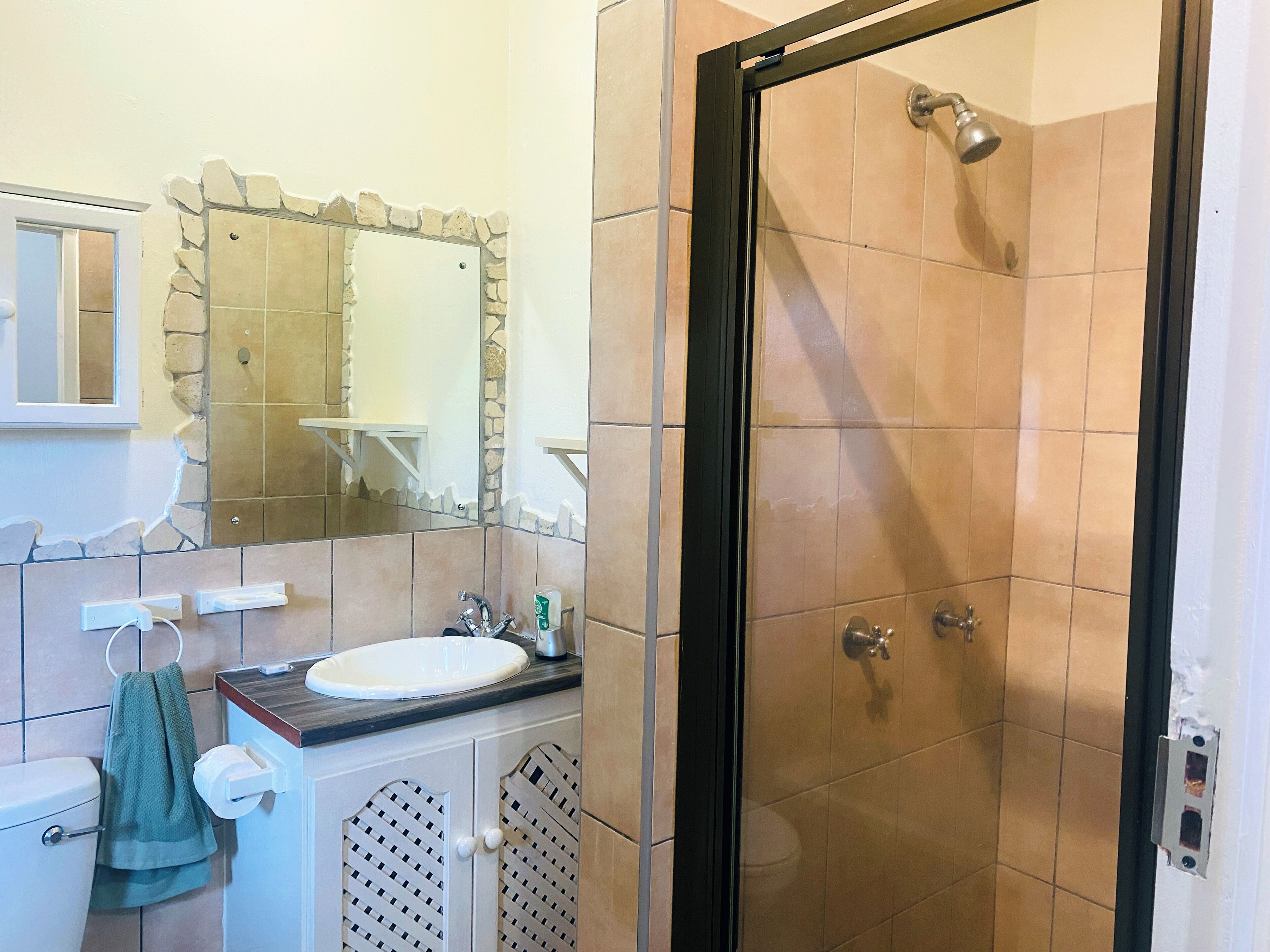 A bathroom with a shower, sink, and mirror.