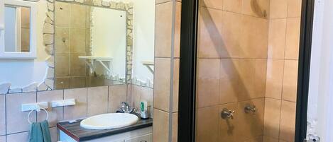 A bathroom with a shower, sink, and mirror.