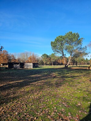 Àrea exterior de l'allotjament