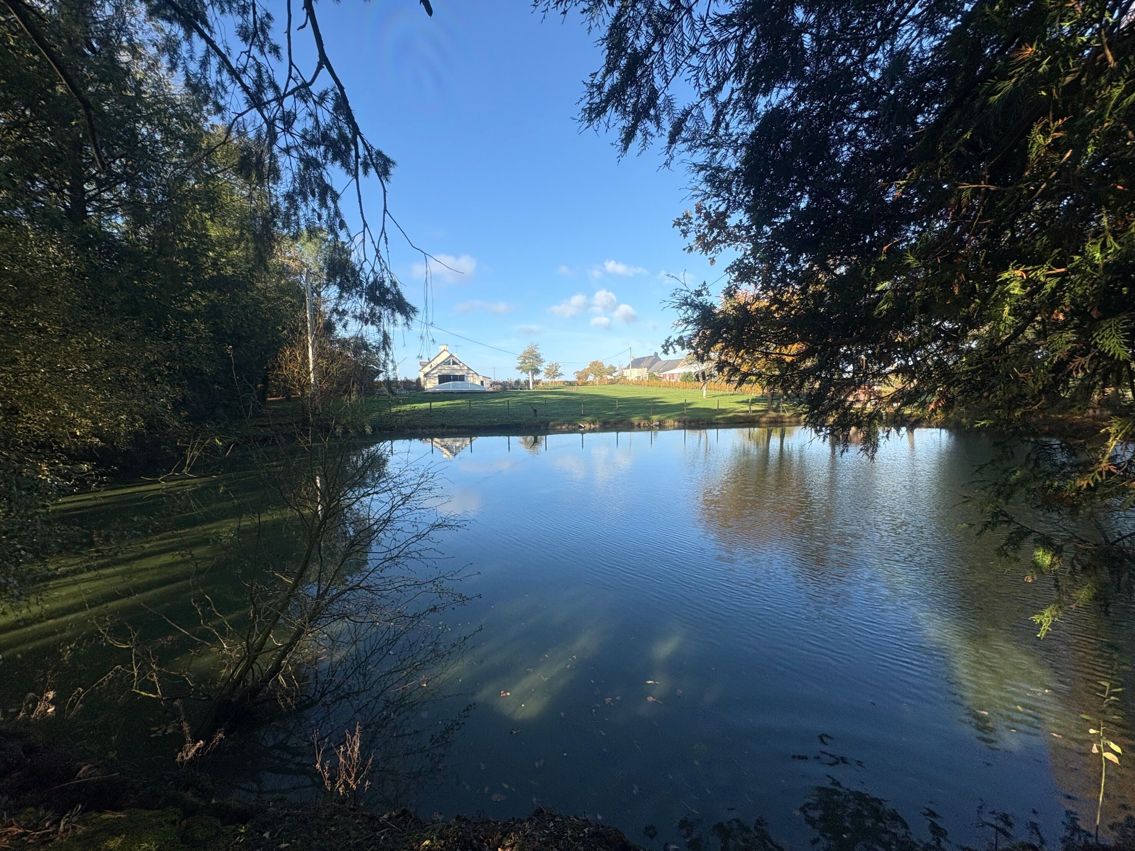 A calm water body with a house in the background, surrounded by trees and a clear sky.