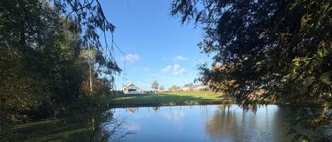 A calm water body with a house in the background, surrounded by trees and a clear sky.