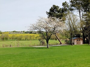 Área da propriedade