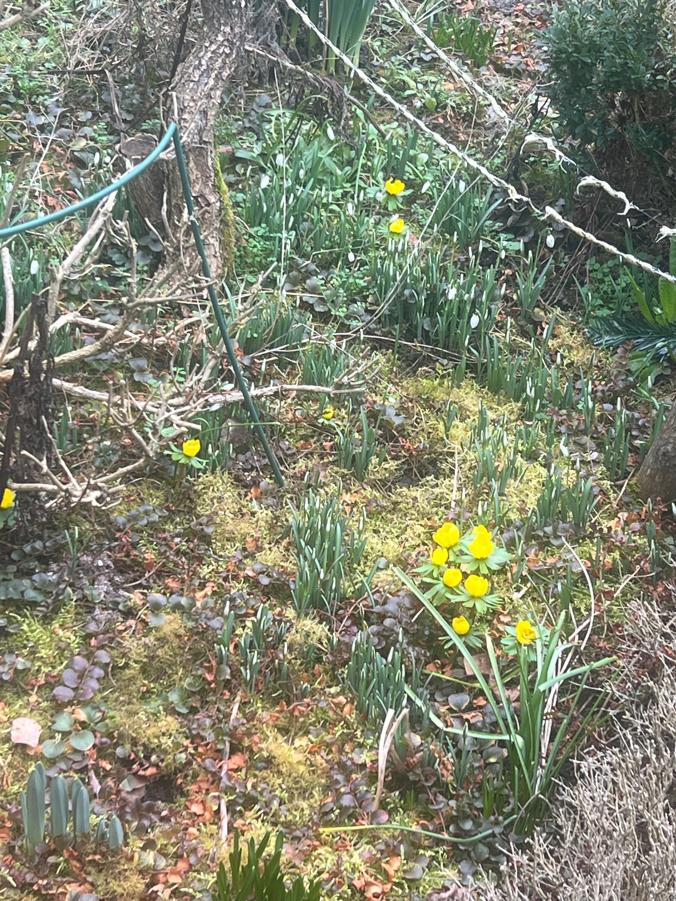 Detall de l'exterior