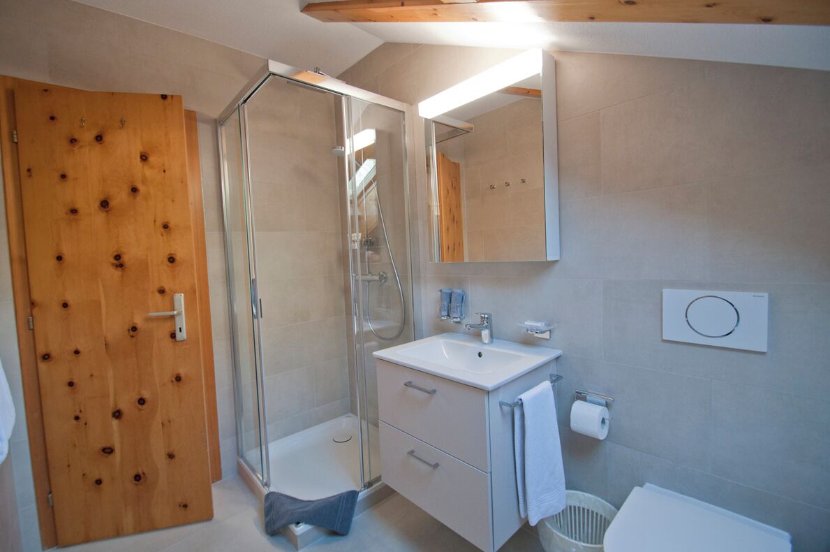Een moderne badkamer met een glazen douchecabine, een houten deur, een witte wastafel met spiegel erboven en een toilet met een afvalbak.