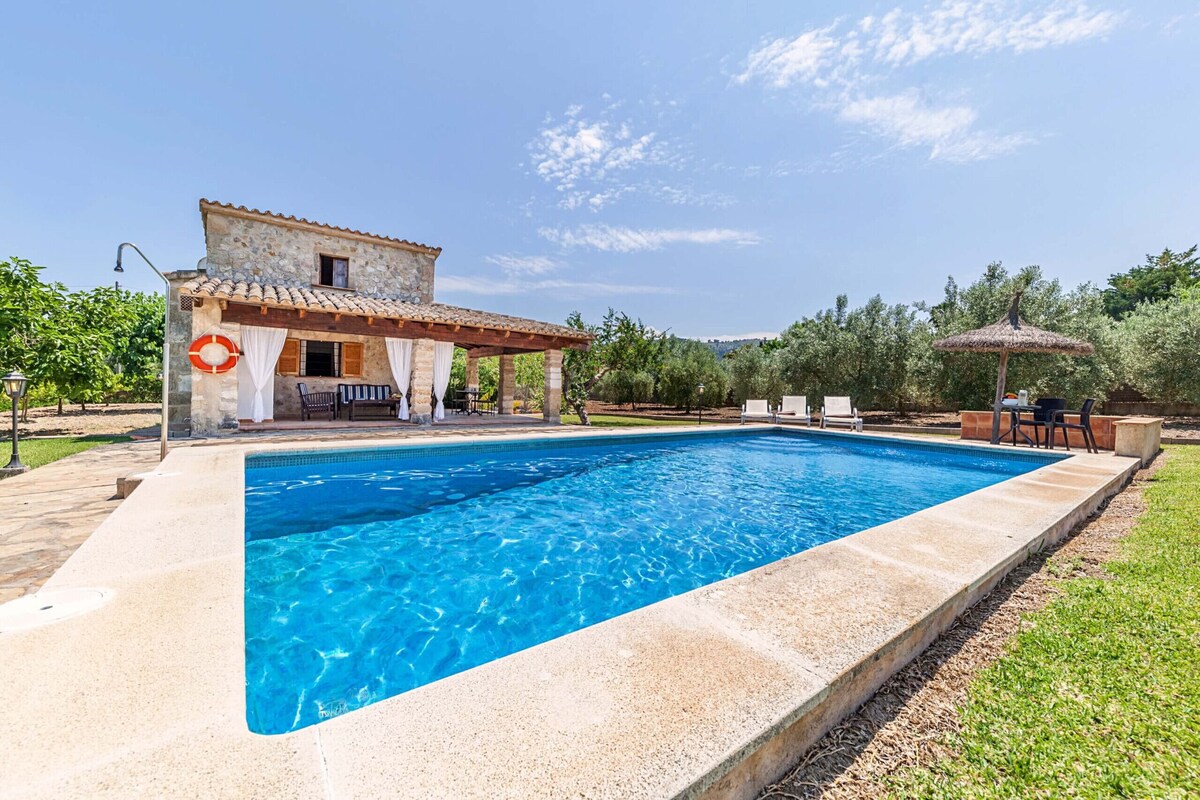 Imagen de perfil del propietario o de la propietaria