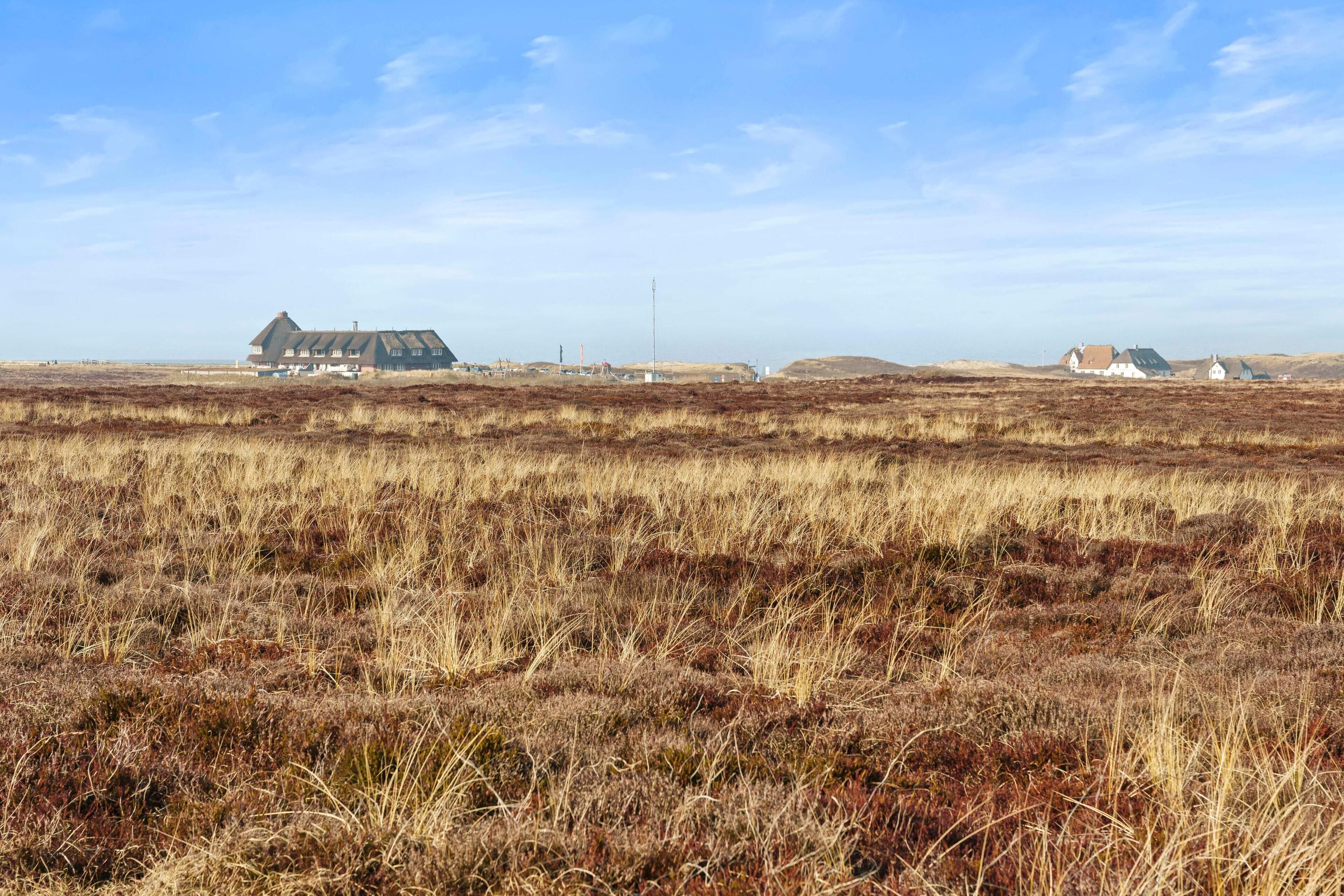 A rural landscape with a large house and several smaller buildings in the distance.