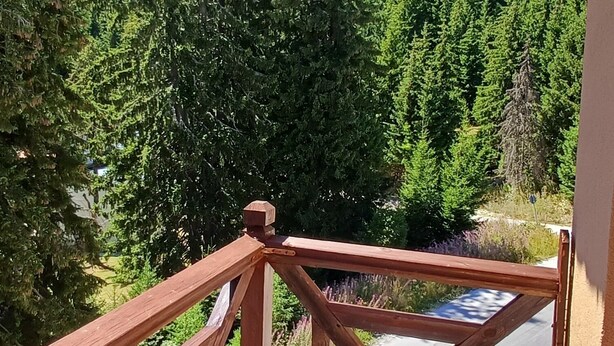 A wooden balcony with a view of a forested mountain area. - Perfect 1-bedroom apartment in adorable Pamporovo for your getaway (Pamporovo)