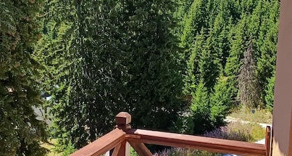 Perfect 1-bedroom apartment in adorable Pamporovo for your getaway