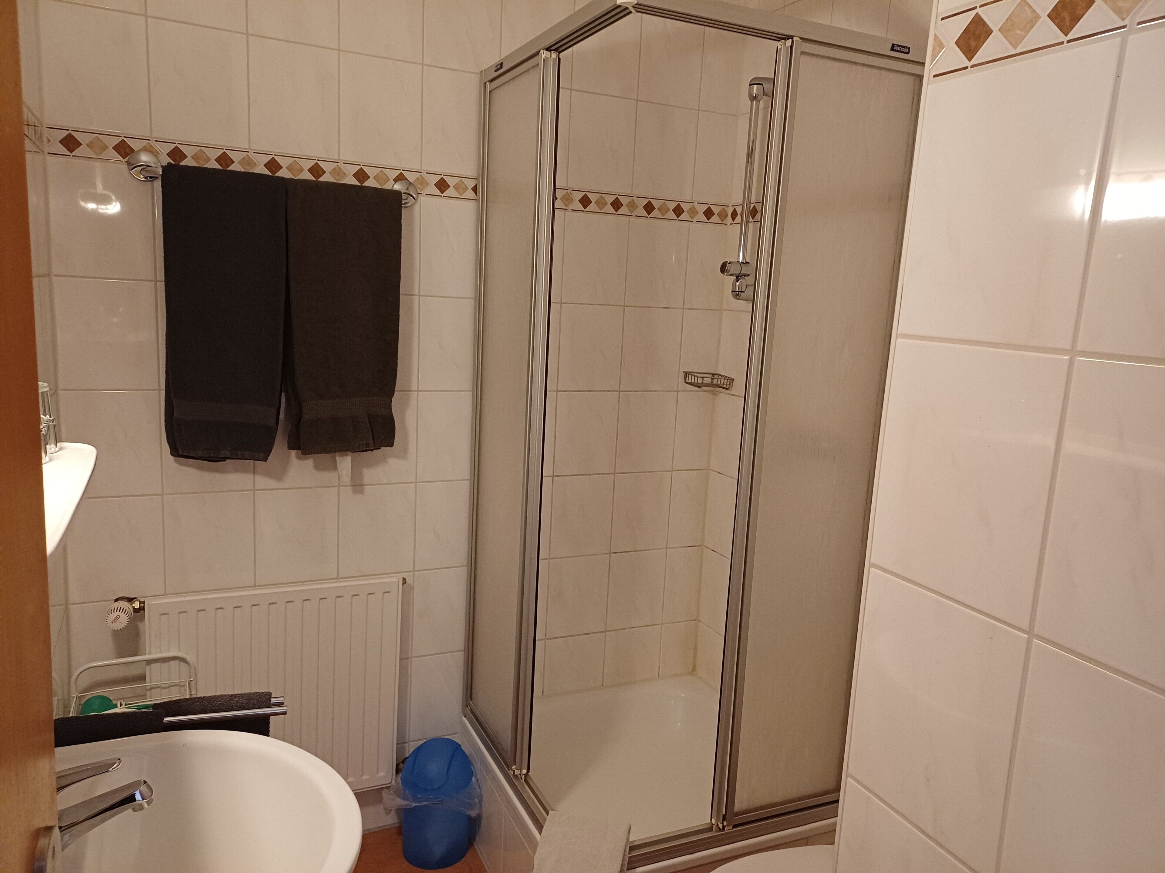 Dusche, Haartrockner, Handtücher