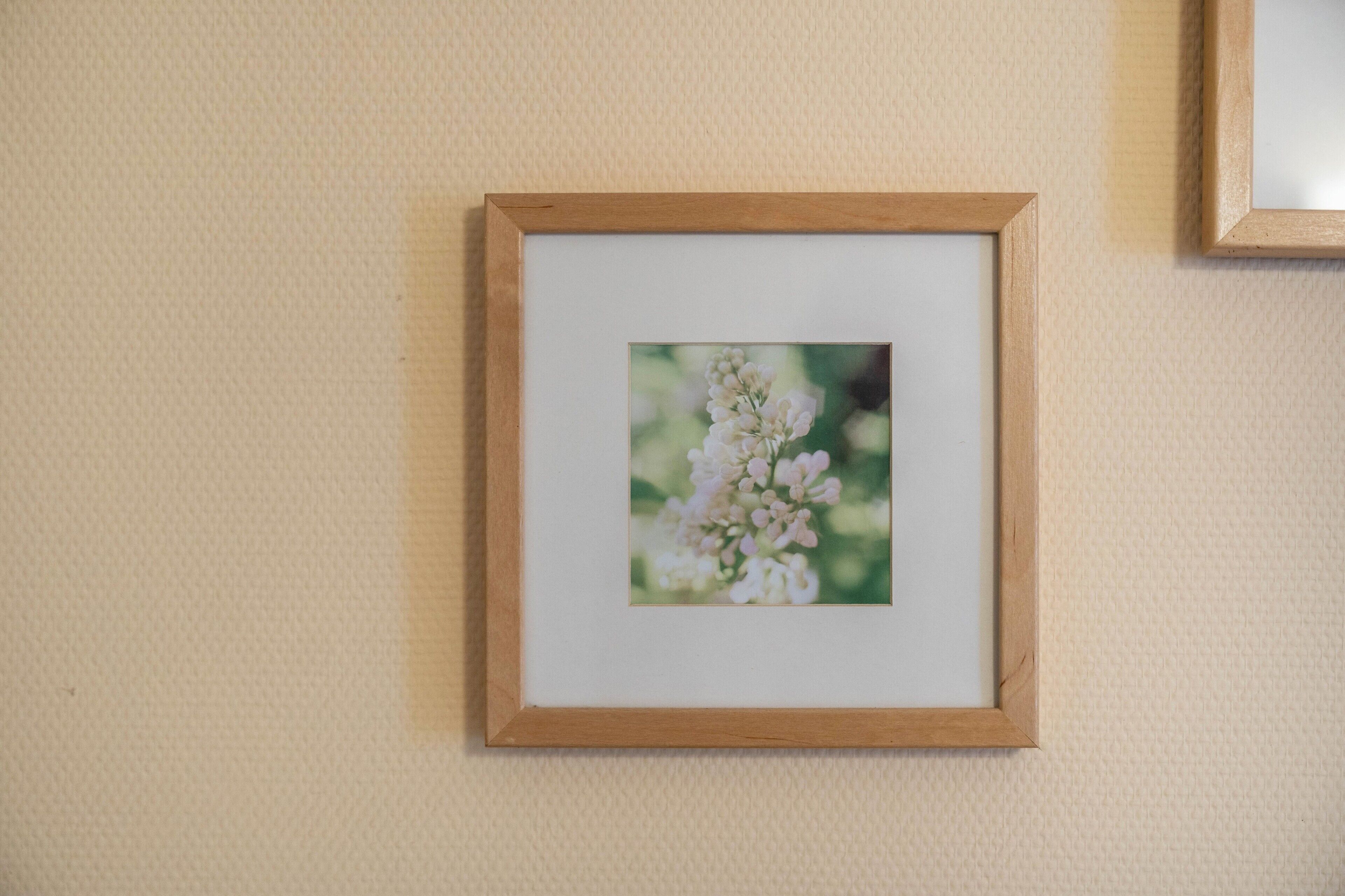 A framed picture of flowers on a textured wall.