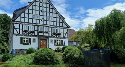 Zimmer „Doppelzimmer 2“ mit Gemeinschaftsterrasse, Garten und WLAN