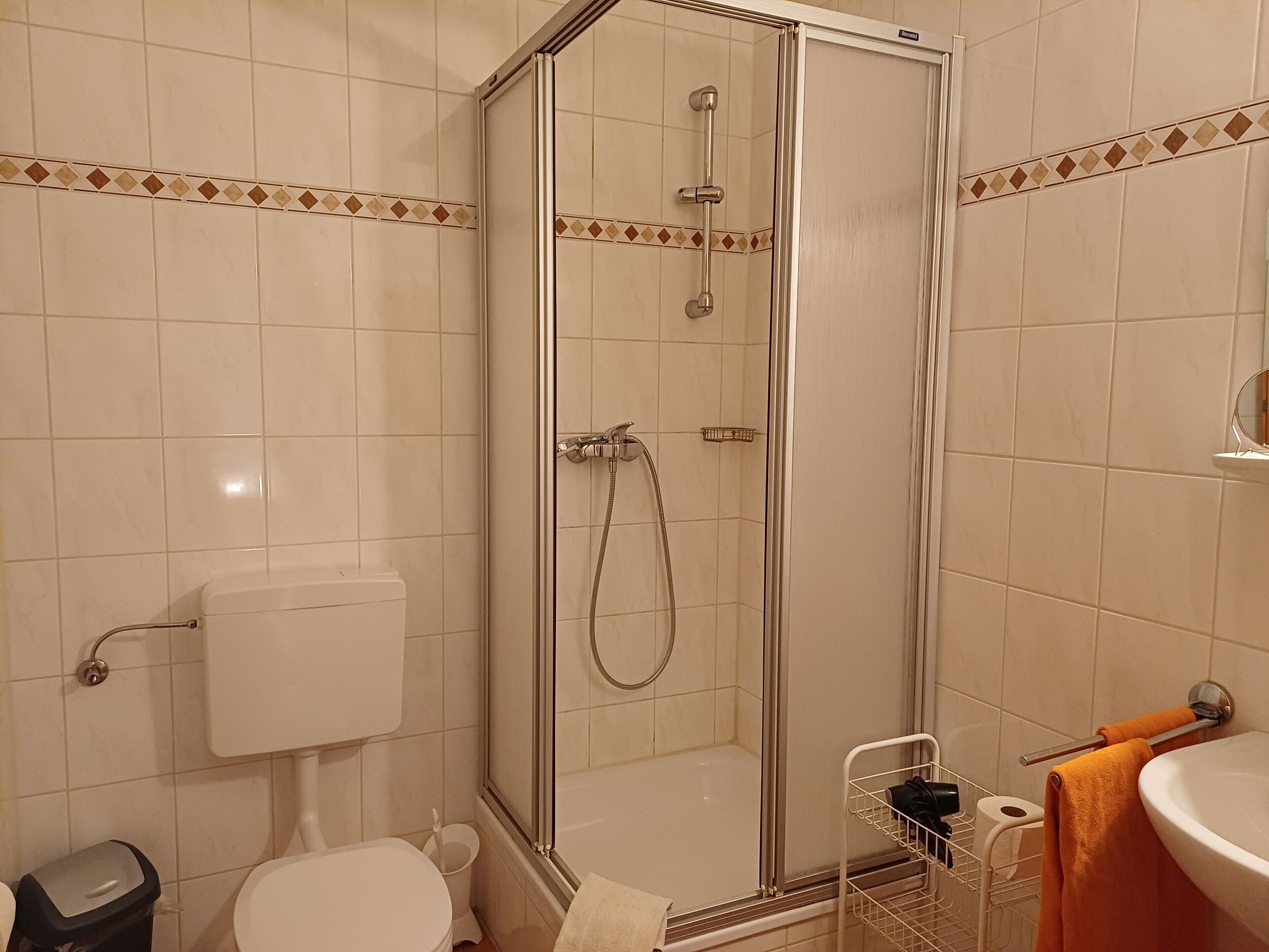 Shower, hair dryer, towels