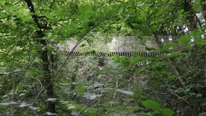A dense forest with a metal bridge. - Cozy Ardennes Chalet Near Durbuy (Durbuy)