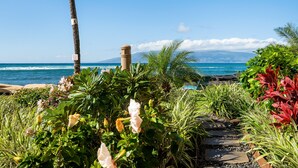 A pathway leading to a beach with lush greenery and a clear view of the ocean. - SUMMER SALE! Oceanfront 1BD Condo with Sunset & Whale Views - Royal Kahana 1206 (Lahaina)