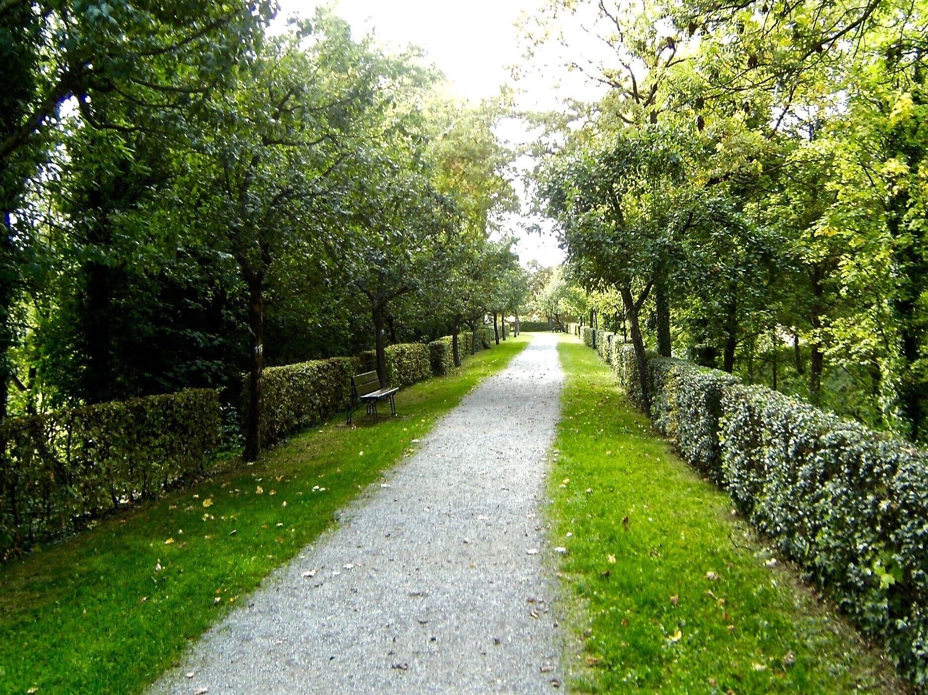 A paved pathway flanked by neatly trimmed hedges and trees, leading to a distant point.