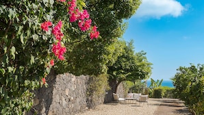 A gravel pathway leading to a seating area with a stone wall and lush greenery. - Villa with pool and breathtaking view - DiCasaInSicilia (Santa Venerina)