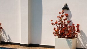 Ein Poolbereich mit einer Frau, die ein Getränk hält, einem Korb mit Essen und einem Blumentopf.