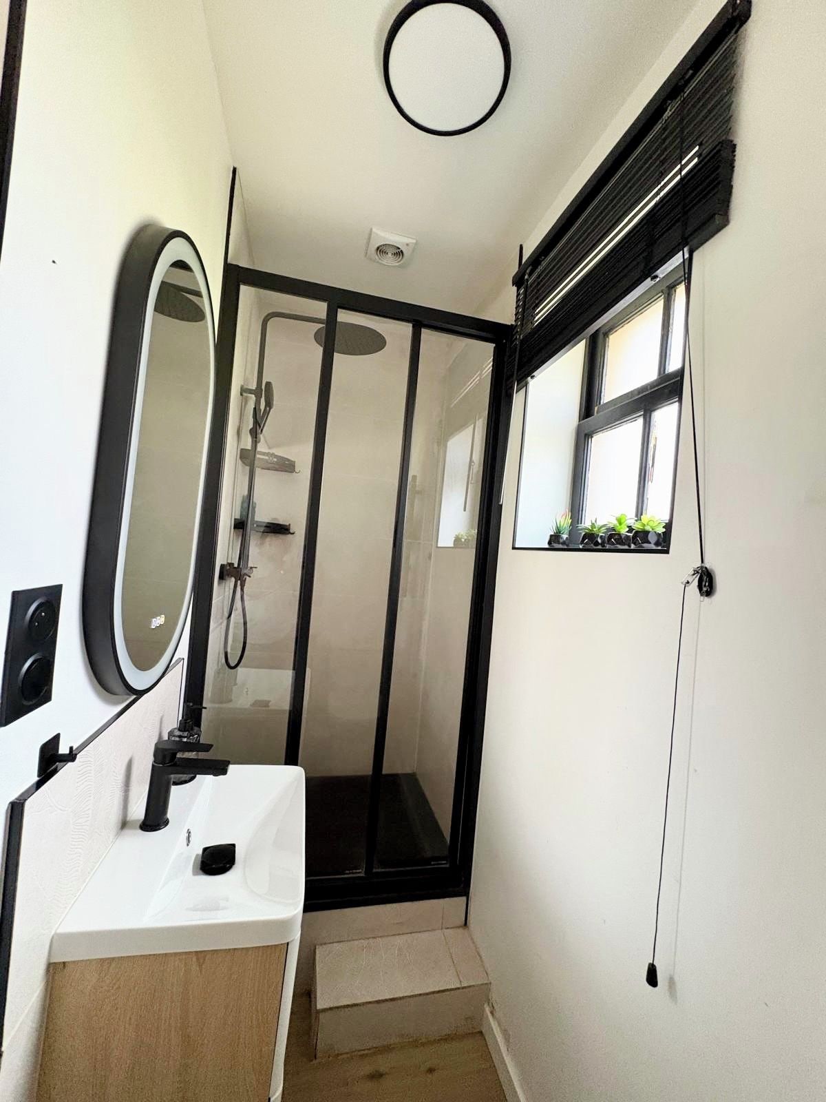 A bathroom with a glass shower door, a sink, a mirror, and a window with plants.