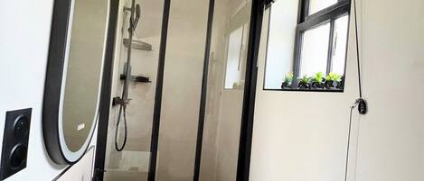 A bathroom with a glass shower door, a sink, a mirror, and a window with plants.
