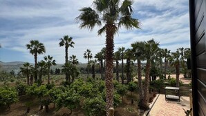 A balcony with a view of a landscaped garden featuring palm trees and shrubs. - Villa Demetra Resort (Agrigento)