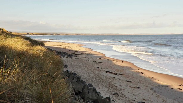 A beach with a sandy shore, waves, and grassy dunes. - Host & Stay | Cosy Cove (Cresswell)