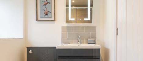 A modern bathroom with a grey vanity, a framed artwork of sea turtles, and a mirror with built-in lighting.