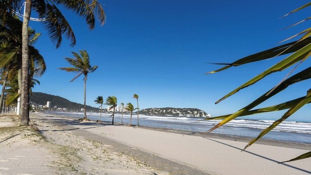 Una playa con palmeras, cielo azul despejado y una montaña distante.