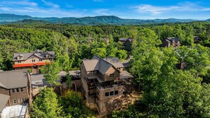 A residential area with multiple houses surrounded by dense forest, with a mountain range in the background.
