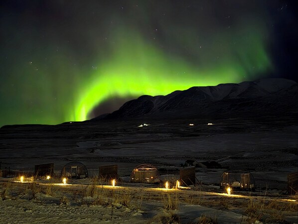 A remote, snow-covered landscape with several small, rustic cabins under a vibrant green aurora display. - Aurora Igloo North (Hvammstangi)