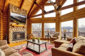 TV, fireplace, video games, DVD player