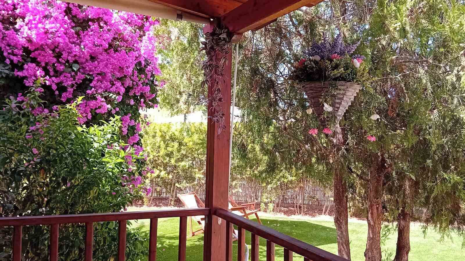 Overnatningsstedets område