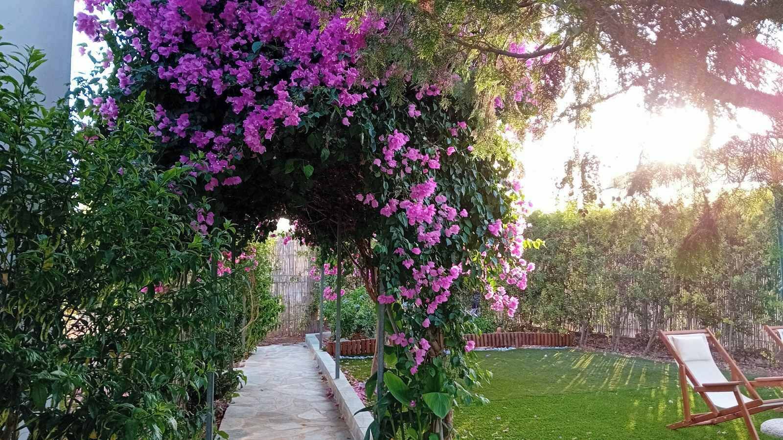 Áreas de la propiedad