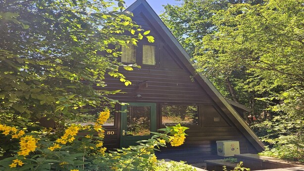 A cabin with a green door, number 80, surrounded by lush greenery and yellow flowers. - Contemporary Ardennes Chalet in Durbuy (Durbuy)