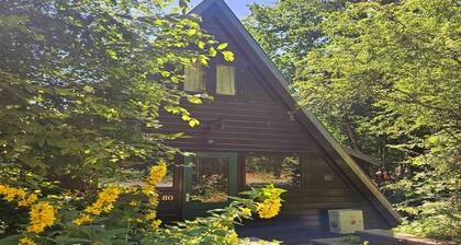 Contemporary Ardennes Chalet in Durbuy
