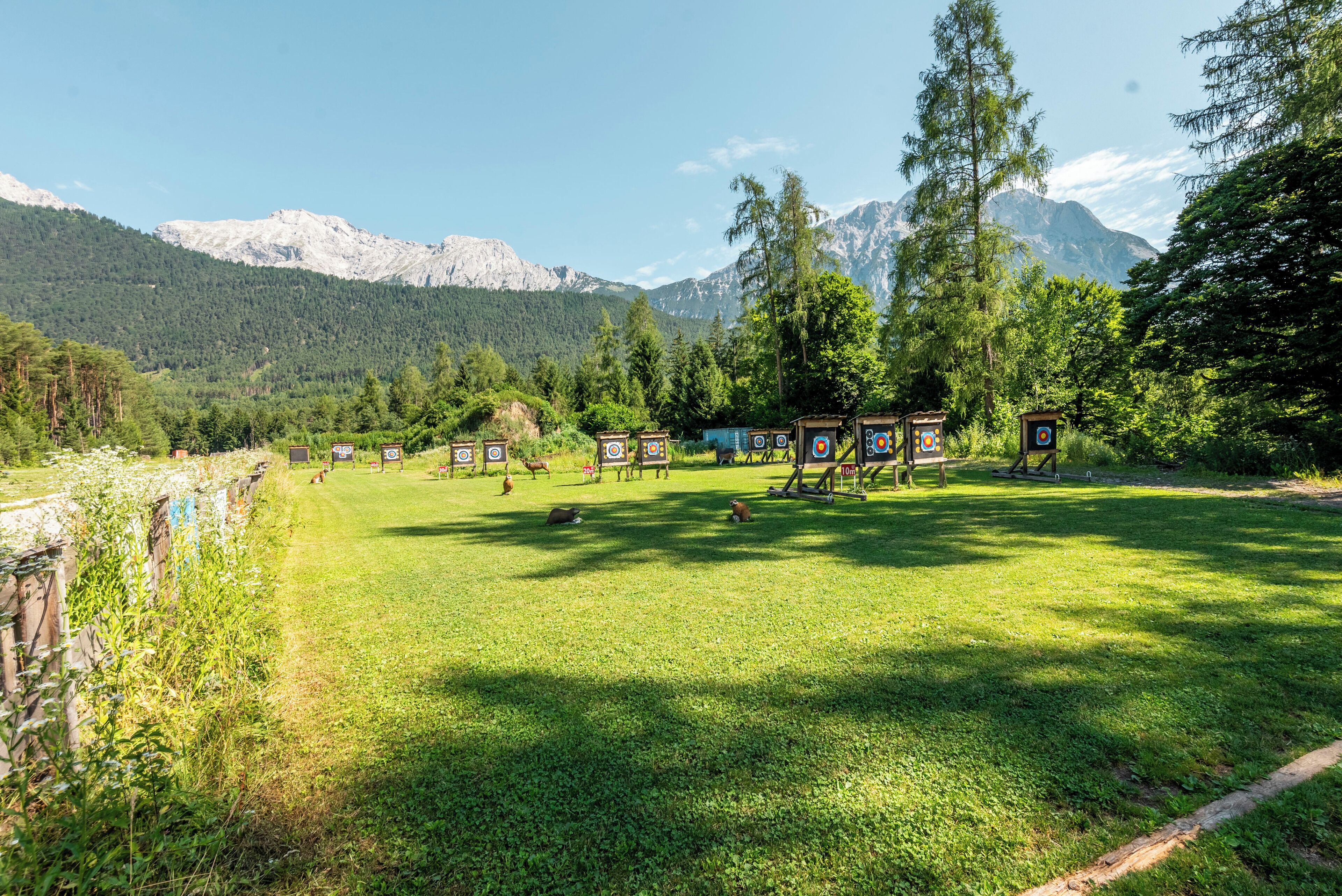 A grassy field with archery targets and a mountain backdrop.