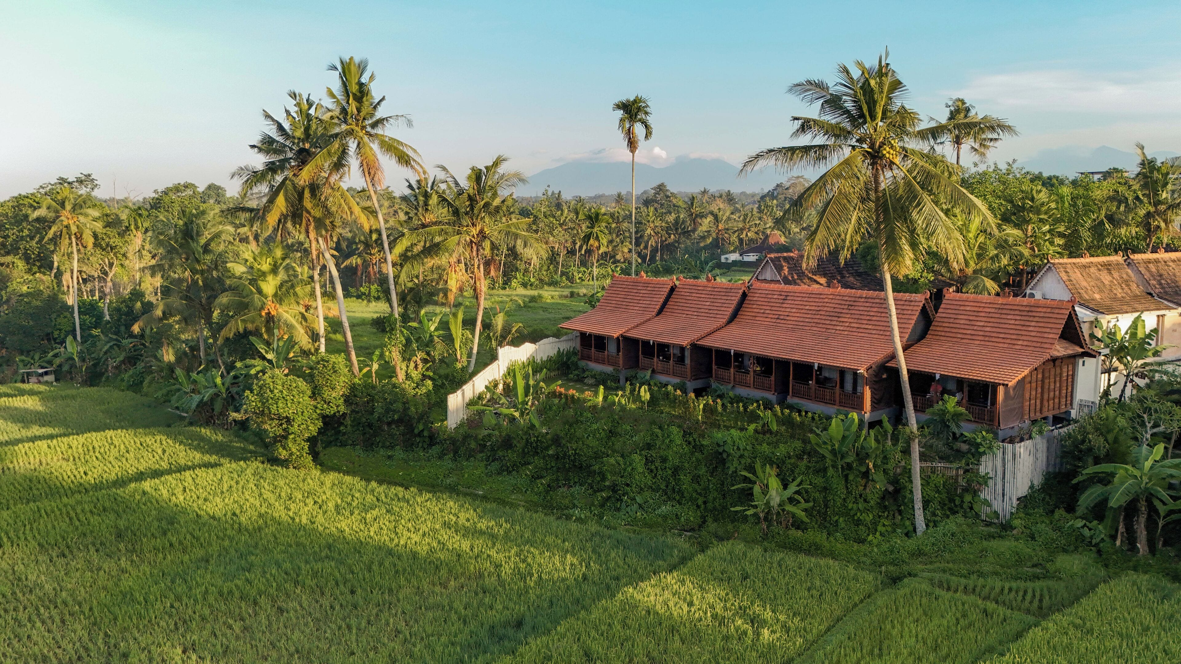 A traditional wooden house with a tiled roof, surrounded by lush greenery and palm trees.