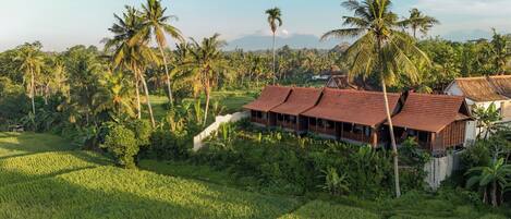 A traditional wooden house with a tiled roof, surrounded by lush greenery and palm trees.