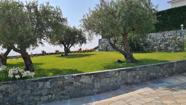 Un jardin aménagé avec des oliviers, un mur de pierre et un ciel dégagé.