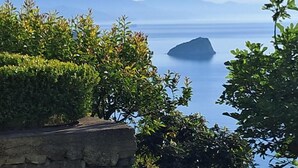 Une vue côtière avec un mur de pierre et une végétation luxuriante au premier plan, qui s’étend jusqu’à une mer calme et des montagnes lointaines.