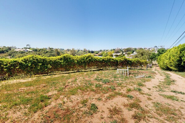 A vineyard with rows of grapevines and a dirt path leading through. - Two Dog-friendly Home, Close to Wine Country (Fallbrook)