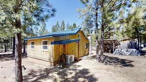 A wooden cabin with a blue roof, surrounded by pine trees.
