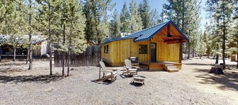 寧靜隱秘的松林小屋附火坑  