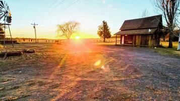 House (1 Bedroom) | Interior