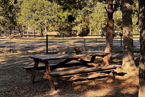 Nhà (2 Bedrooms) | Nội thất