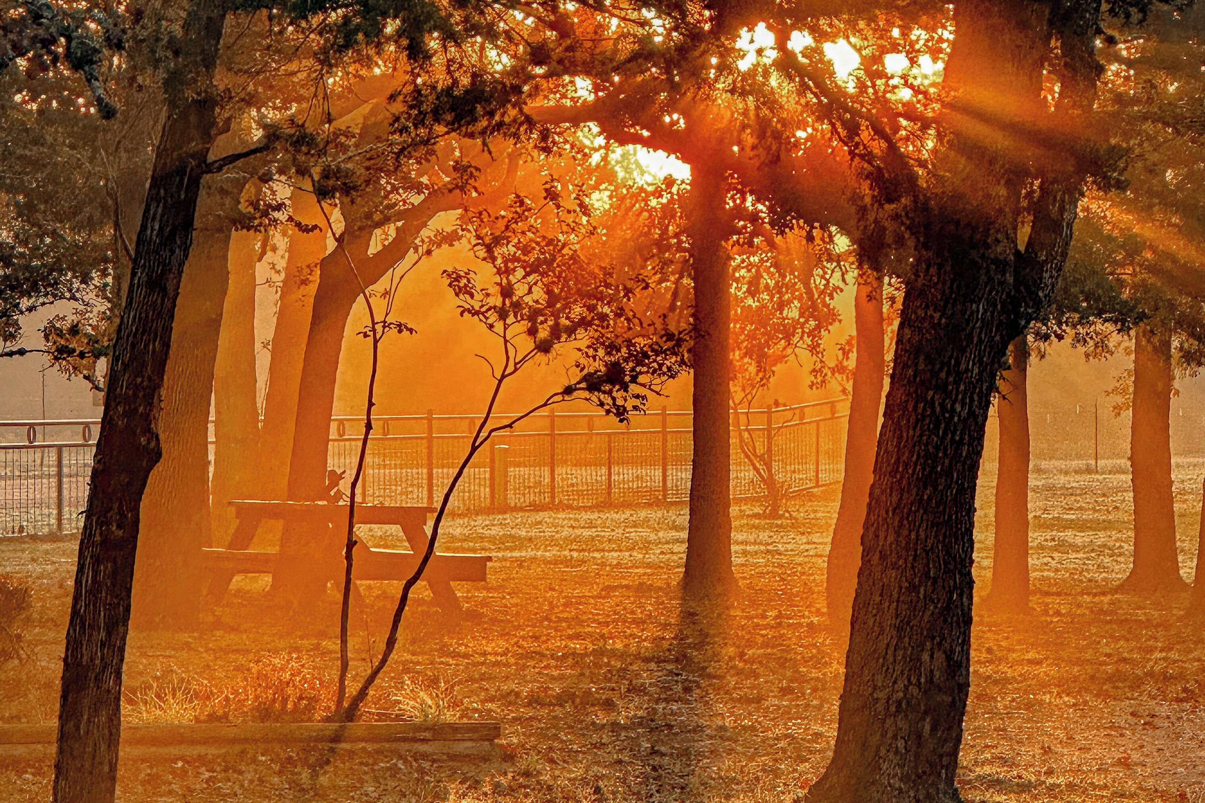 Nhà (5 Bedrooms) | Nội thất