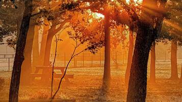 Nhà (5 Bedrooms) | Nội thất