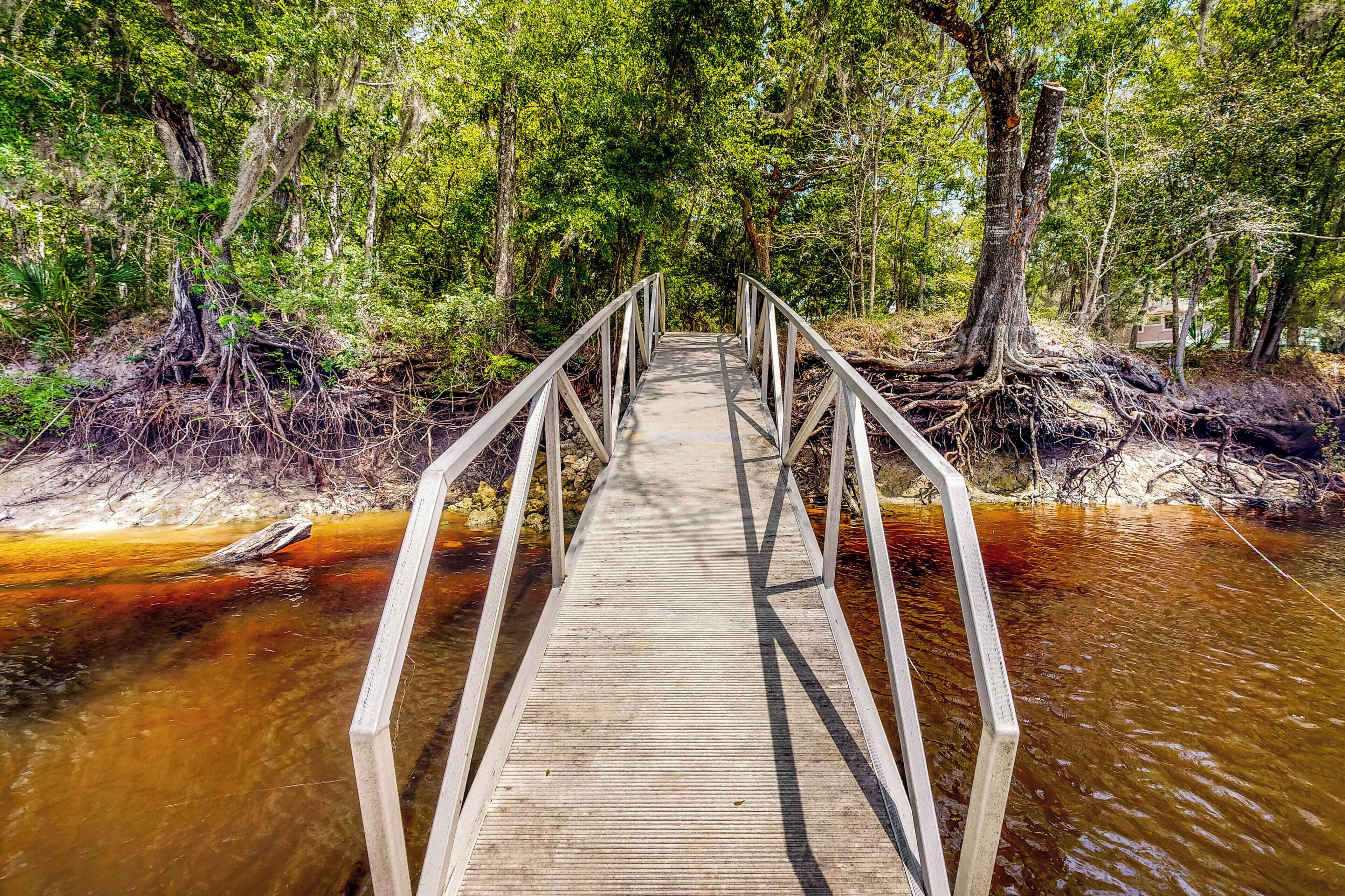 A wooden bridge over a river surrounded by dense greenery.